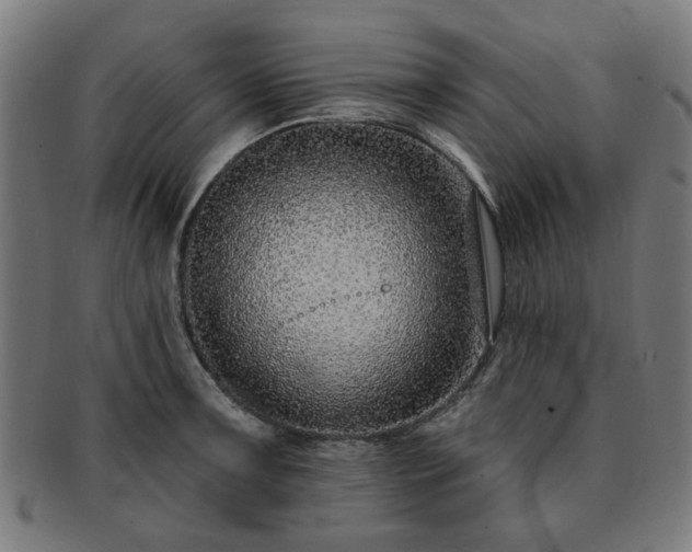 X0000091701091200708311048