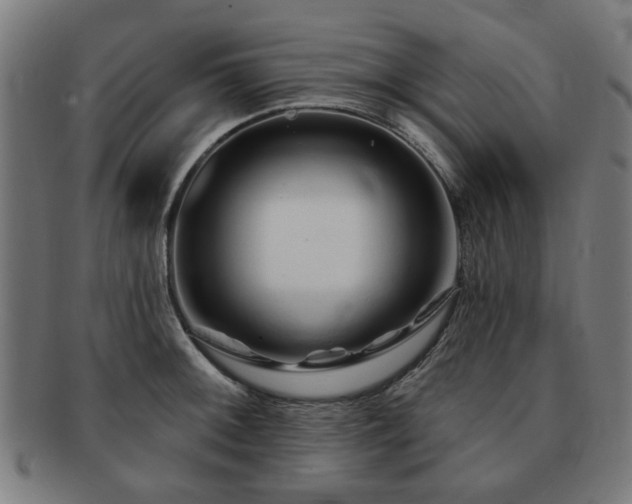X0000091701092200708311048
