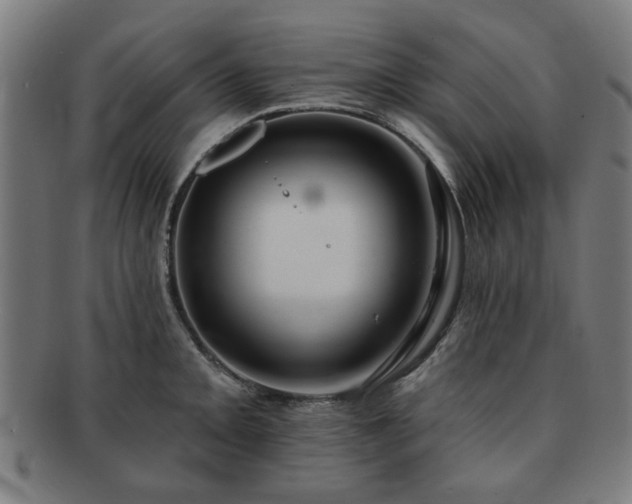 X0000091701093200708311048