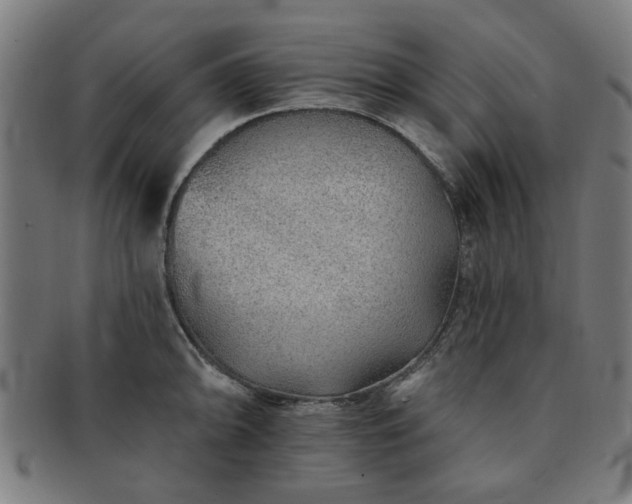 X0000091701094200708311048