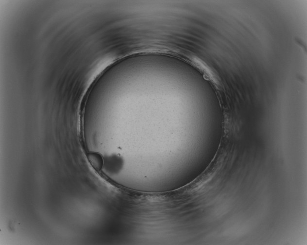 X0000091701095200708311048