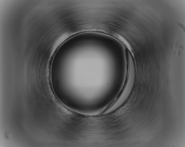 X0000091701096200708311048