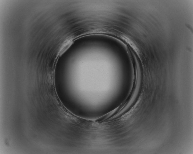 X0000091701097200708311048