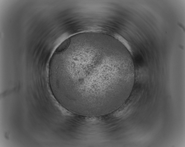 X0000091701099200708311048