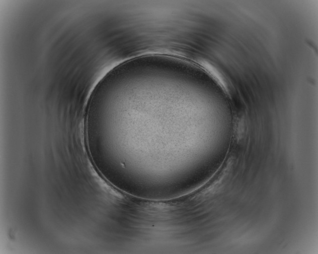 X0000091701100200708311048