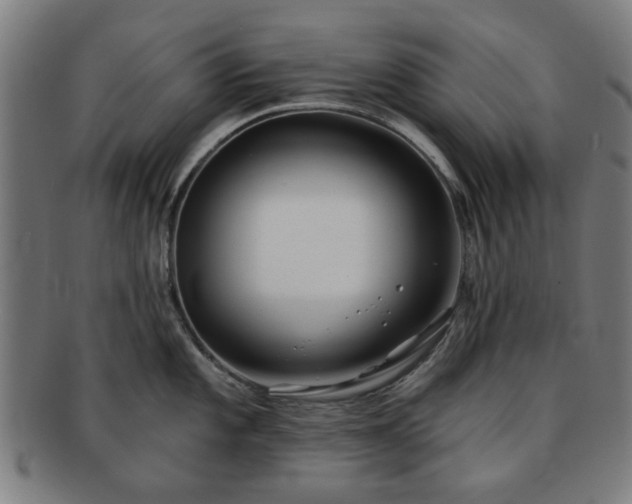 X0000091701101200708311048