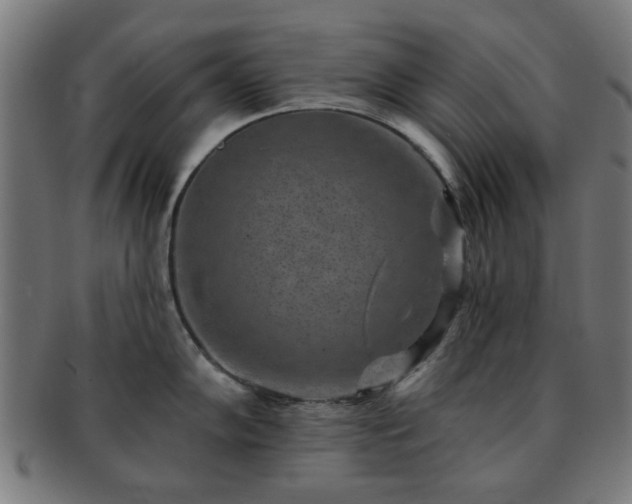 X0000091701102200708311048