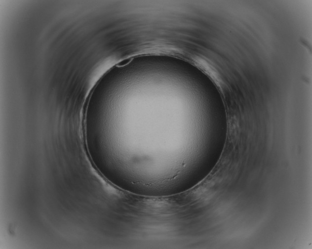 X0000091701103200708311048