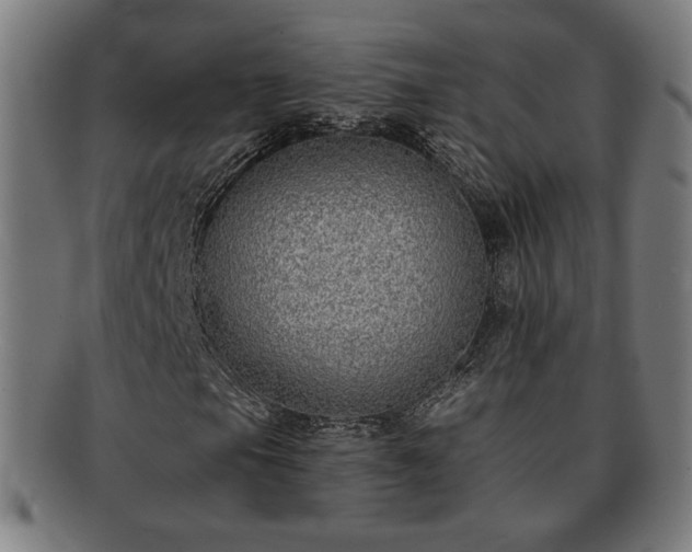 X0000091701105200708311047