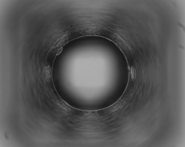 X0000091701107200708311047