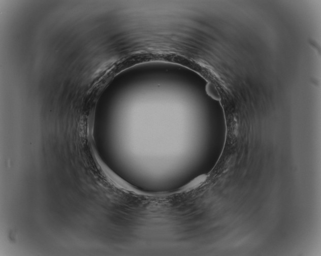 X0000091701110200708311047