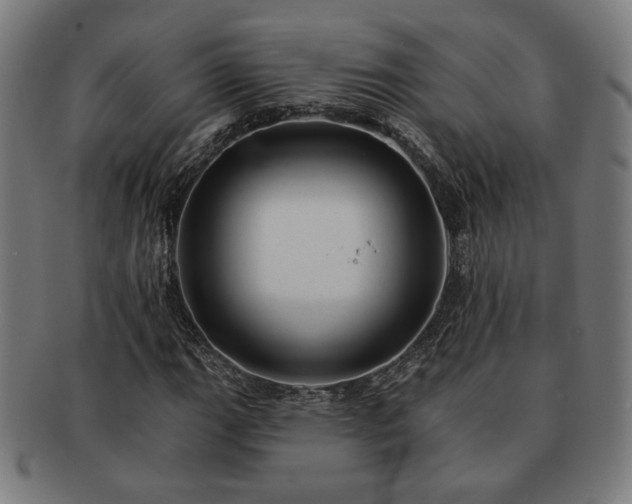 X0000091701111200708311047