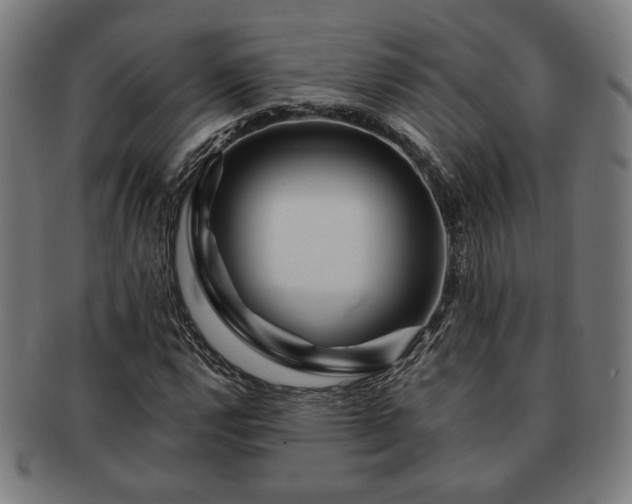 X0000091701112200708311047