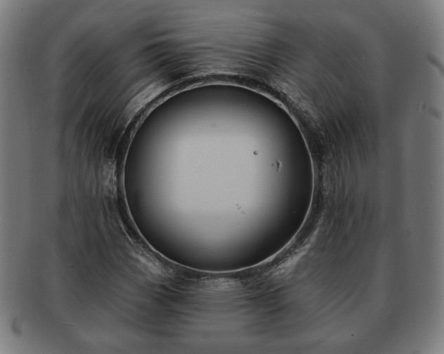 X0000091701113200708311047