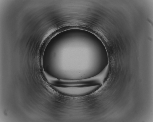 X0000091701114200708311047