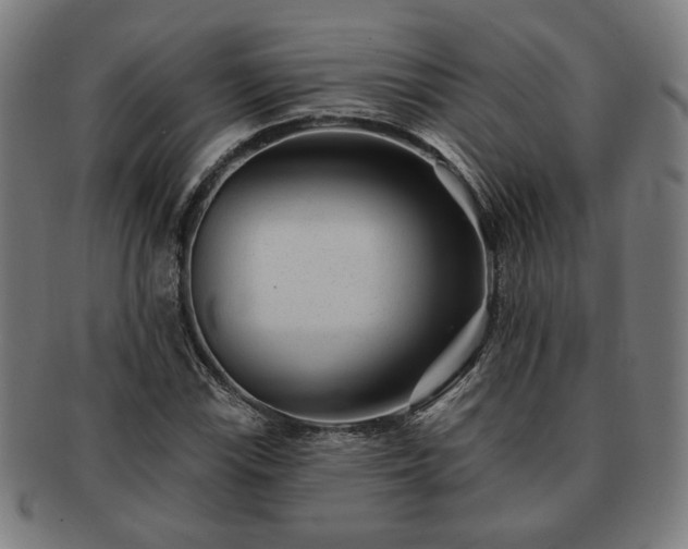 X0000091701115200708311047