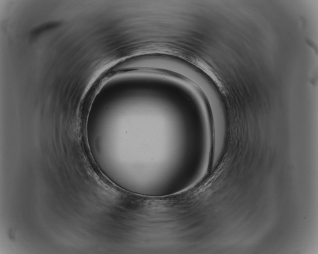 X0000091701116200708311047