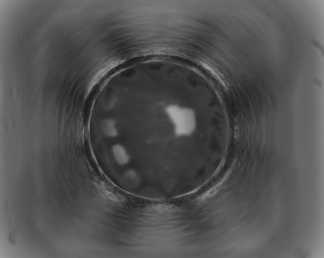 X0000091701117200708311047