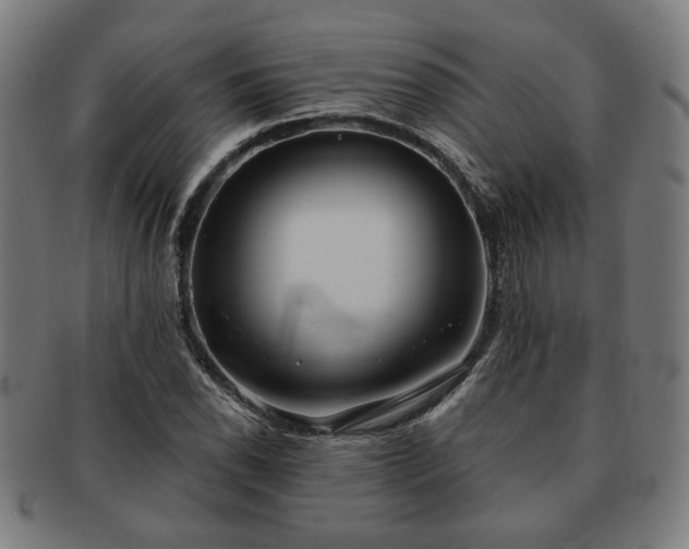 X0000091701118200708311047
