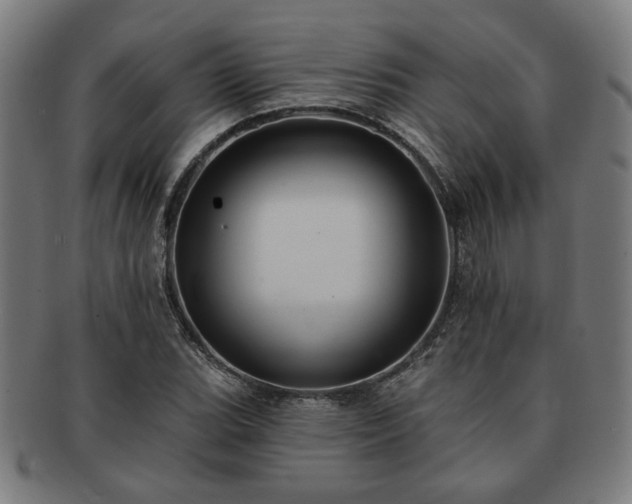 X0000091701119200708311047