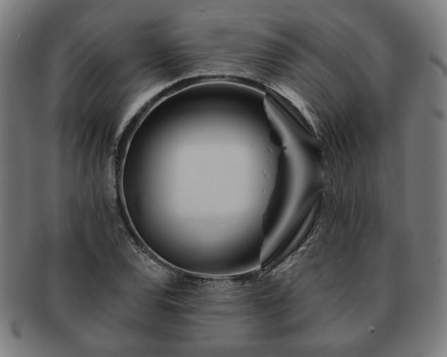 X0000091701120200708311047