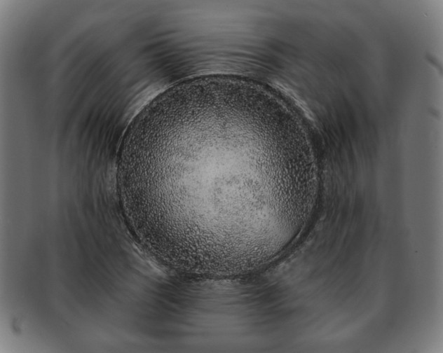 X0000091701121200708311047