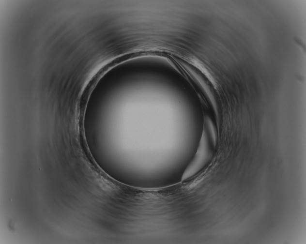X0000091701124200708311047