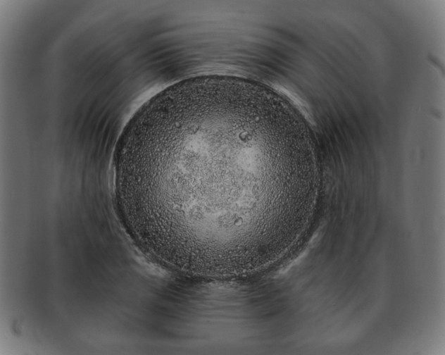 X0000091701125200708311047