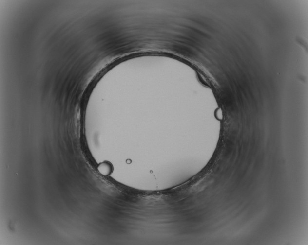 X0000091701126200708311047
