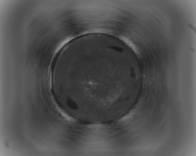 X0000091701127200708311047