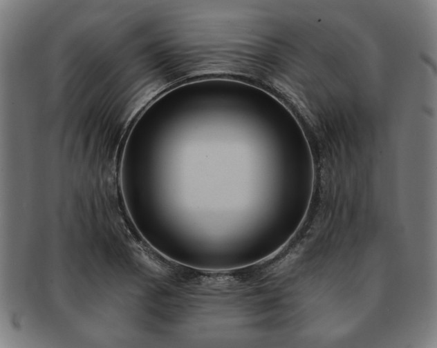 X0000091701129200708311047