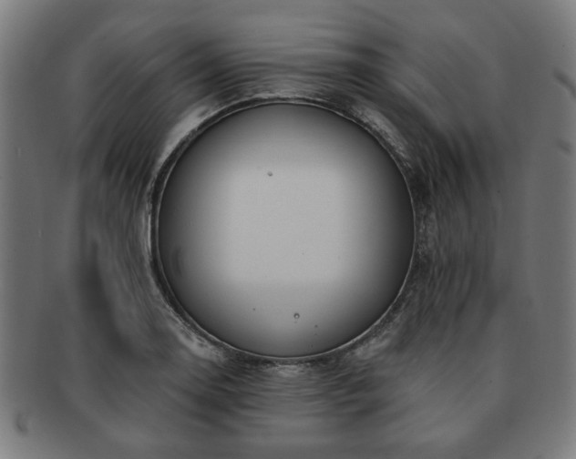 X0000091701130200708311047