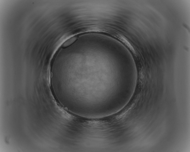 X0000091701132200708311047