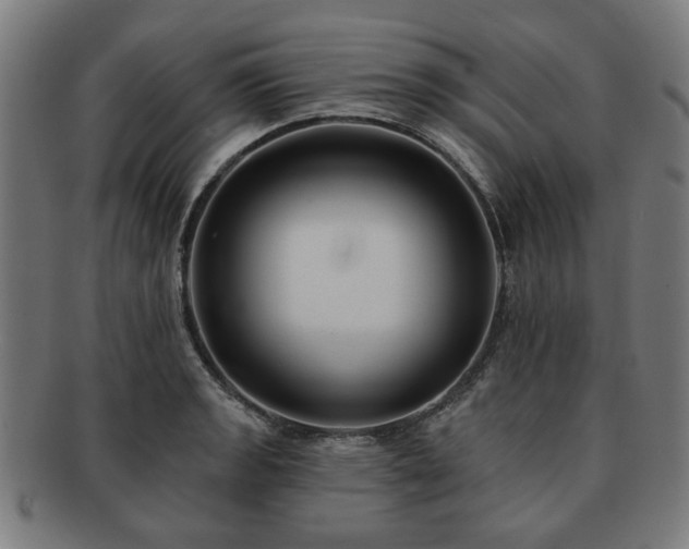 X0000091701133200708311047