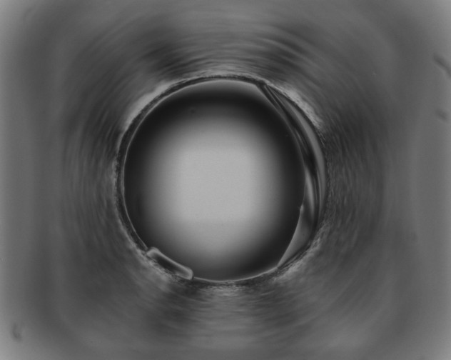 X0000091701134200708311047