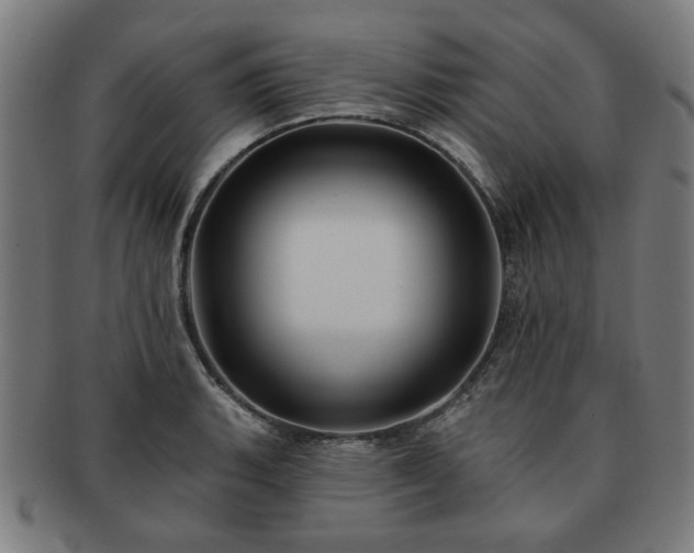 X0000091701135200708311047