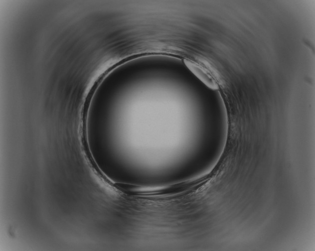 X0000091701136200708311047