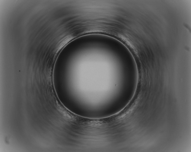 X0000091701137200708311047