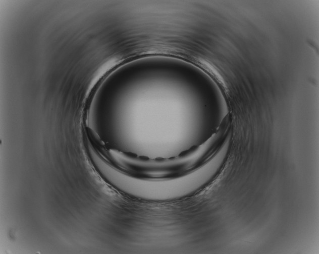 X0000091701138200708311047