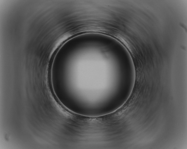 X0000091701139200708311047