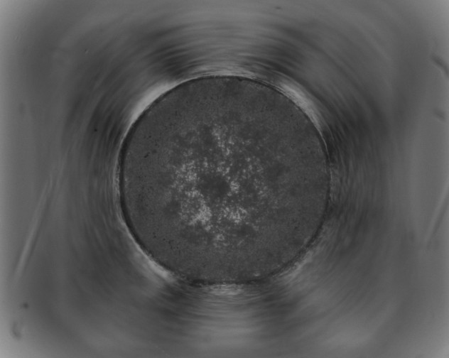 X0000091701141200708311047