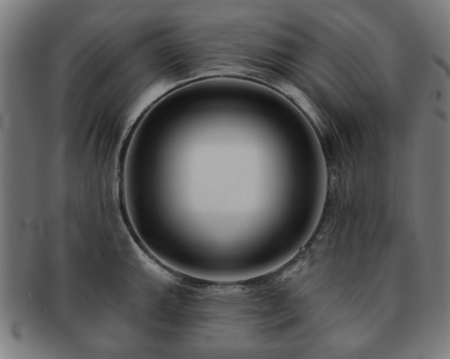 X0000091701143200708311047
