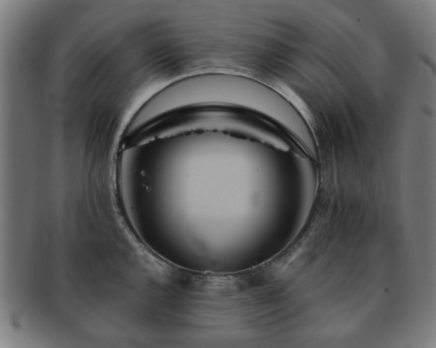 X0000091701144200708311047