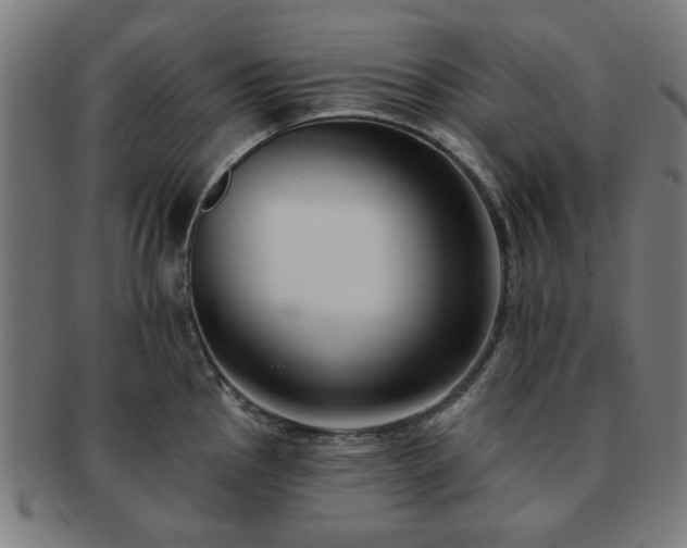 X0000091701145200708311047
