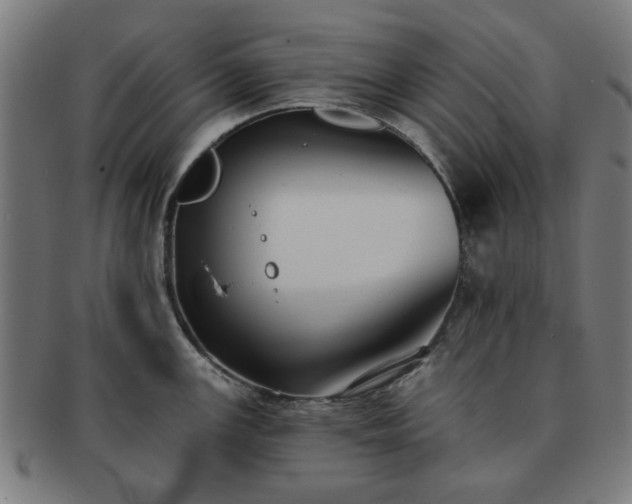 X0000091701147200708311047