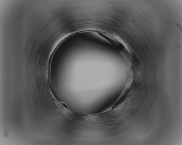 X0000091701148200708311048
