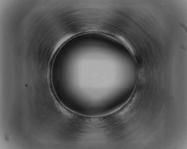 X0000091701149200708311048
