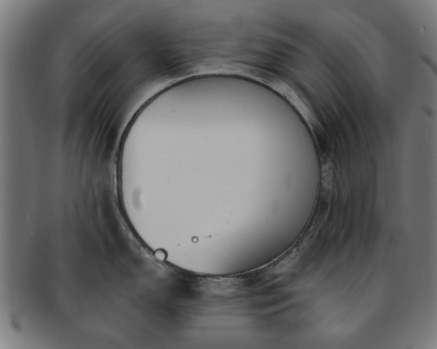 X0000091701150200708311048