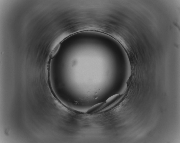 X0000091701151200708311048