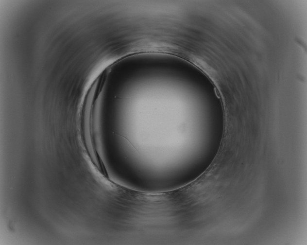 X0000091701152200708311048